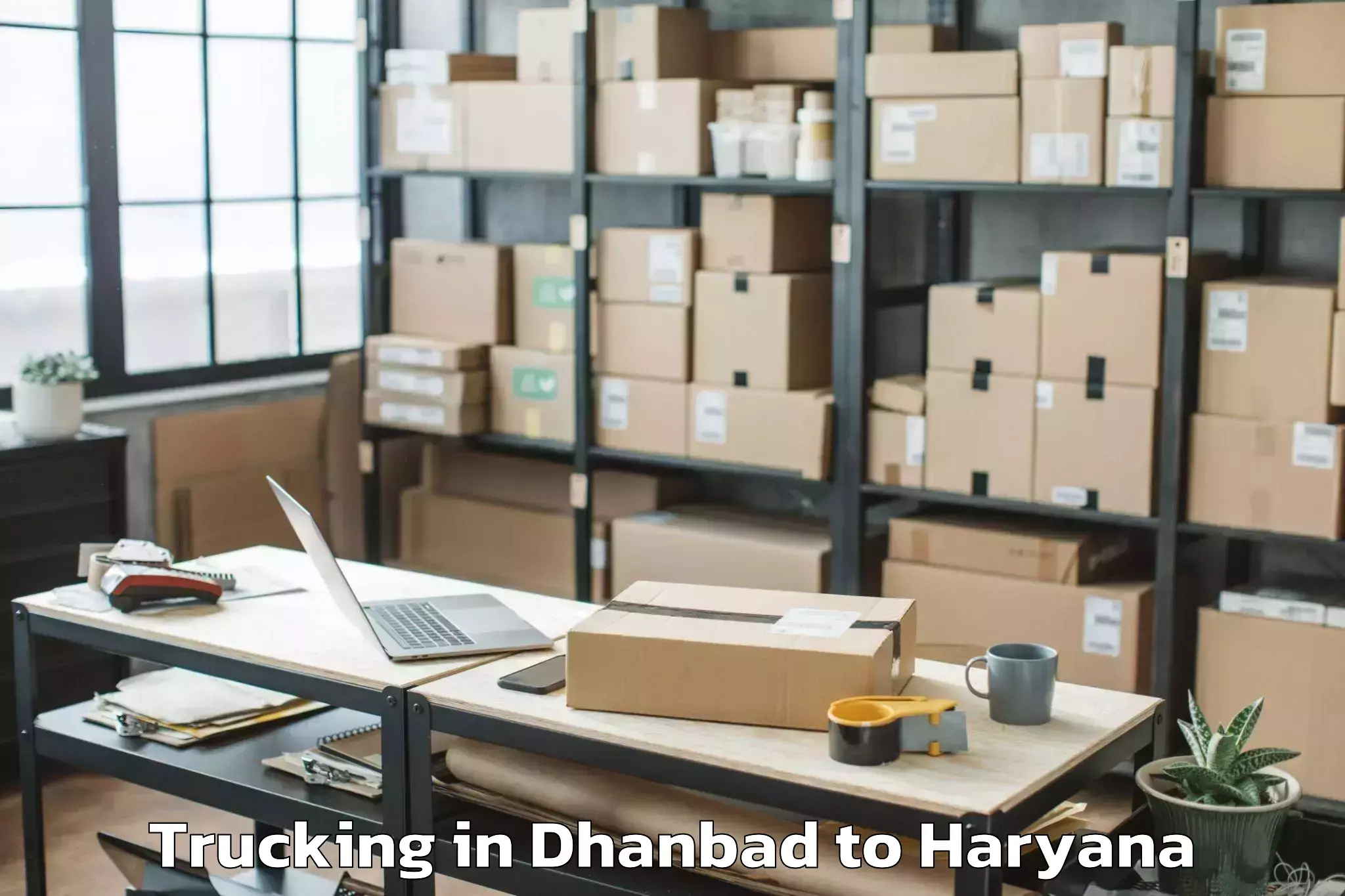 Top Dhanbad to Charkhi Dadri Trucking Available